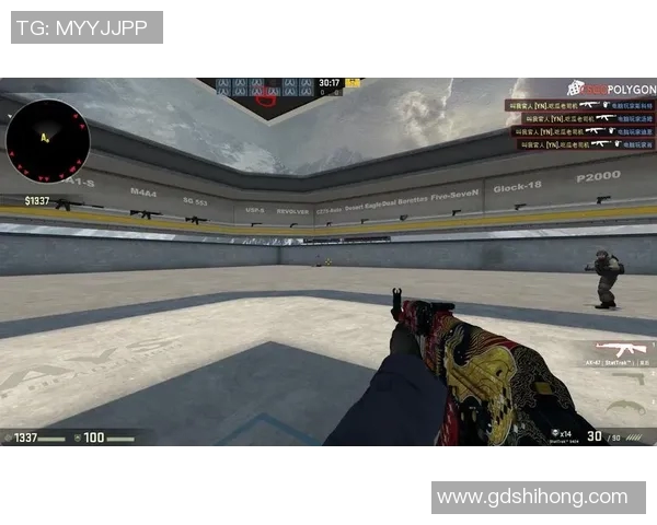 王磊深度解析CSGO游戏技巧与心得分享助你提升游戏水平